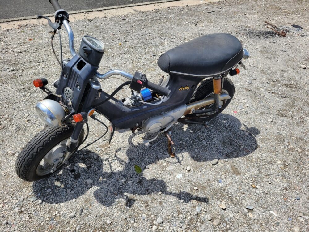 シャリー50