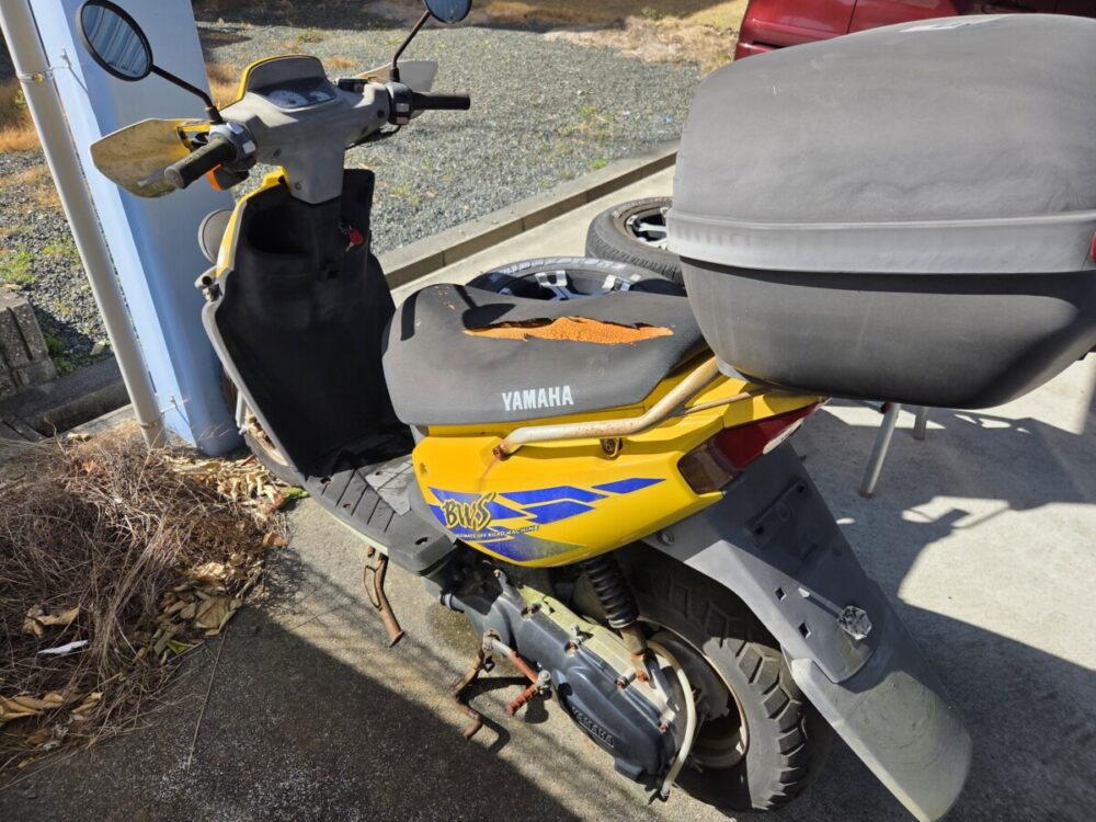 ビーウィズ１００